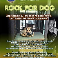 ROCK FOR DOG
